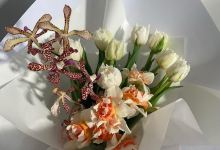 TheBudClub.购物图片