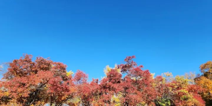 Lake Ann Park and Beach