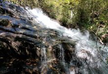 Big Laurel Creek景点图片