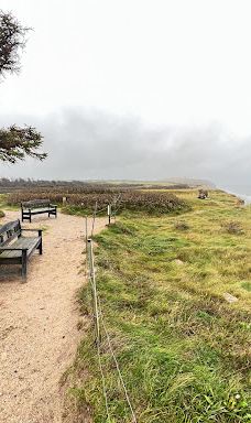 Kongestenen ved Mårup Kirke-约灵