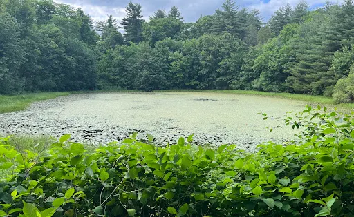 Sharon Dog Park