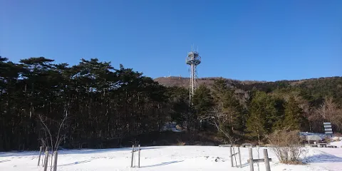 ライオンズの森
