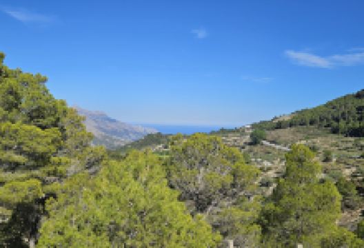 Mirador de la Morera景点图片