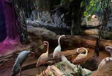 Aves World景点图片