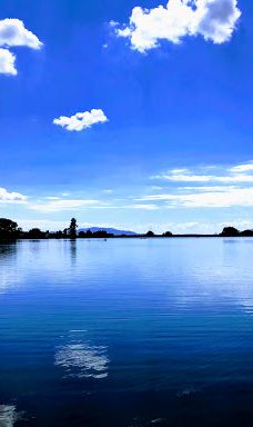 Andy Adams Park-雷顿