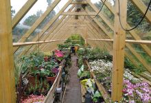 Cypress Nursery购物图片