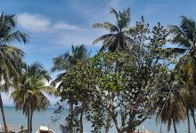 Playa Puntofino景点图片