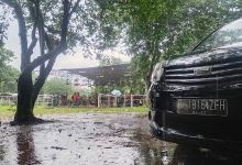 lapangan VR46 ENTERPRISE景点图片