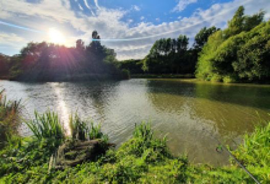 Rosewall Camping景点图片