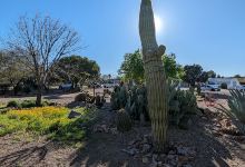 Desert Meadows Park景点图片