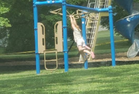 Frankton Town And Country Baseball Field景点图片