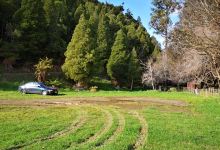 Moanui, Koranga, Tawa Track景点图片