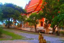 Wat Pak Rawa景点图片
