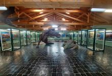 Expozice Dějiny Země景点图片