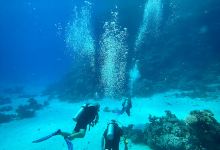 Ras Abu Soma diving site景点图片
