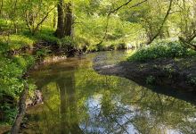 Lower Woods Nature Reserve景点图片