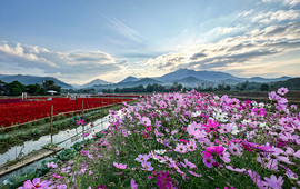 DOI IAN VIEW