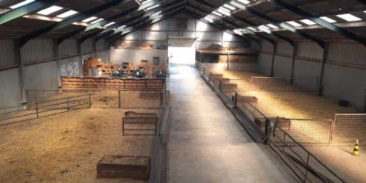 The Alpaca Farm
