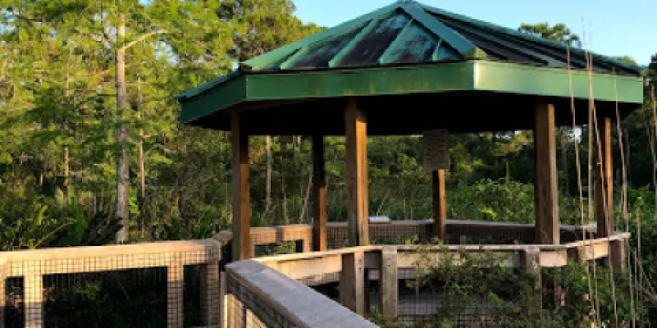 Hillsboro Pineland Natural Area