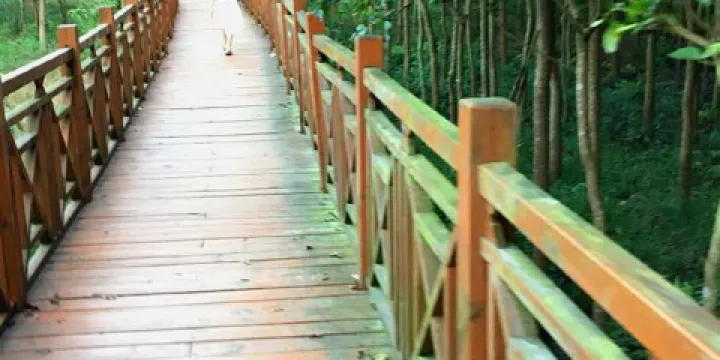 漳浦縣白鷺森林公園