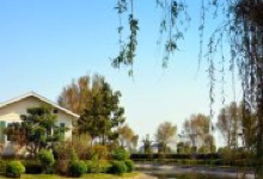 如意农庄(启东乡村旅游景点店)景点图片