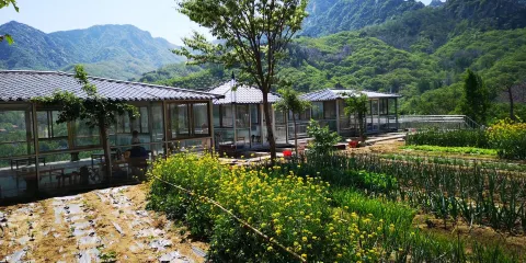 蒙山百花峪風景名勝區