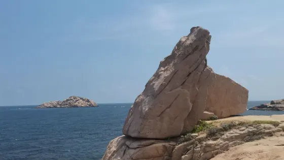 花鳥島-佛手石