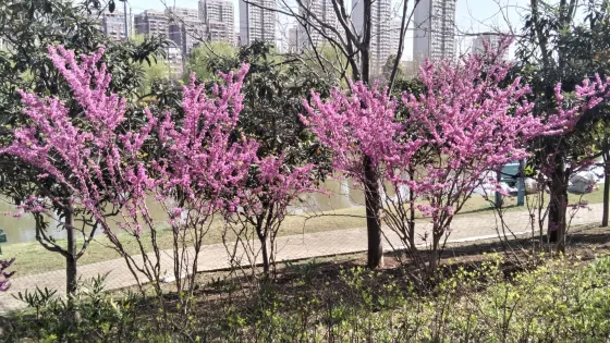永幸河