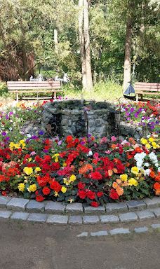 Vogelpark Niendorf-蒂门多尔费尔斯特兰德