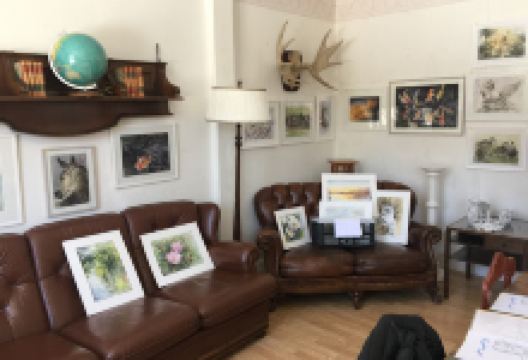 Björnez Magazin, gamla Södra Borgeby Skola购物图片