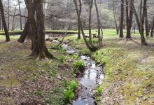 せせらぎの広場_種山ヶ原景点图片