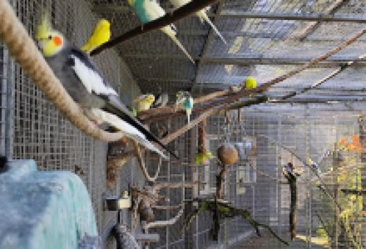 Vogelparadies Birka景点图片