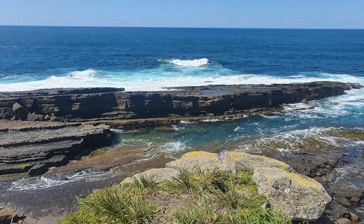 Penguin head reserve