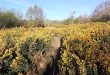 Forest Front Nature Reserve景点图片