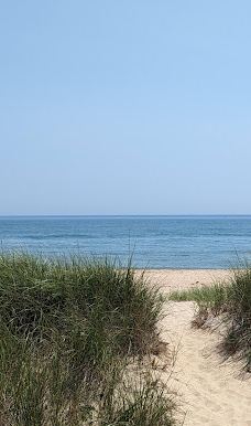 Ditch Plains Beach-蒙托克