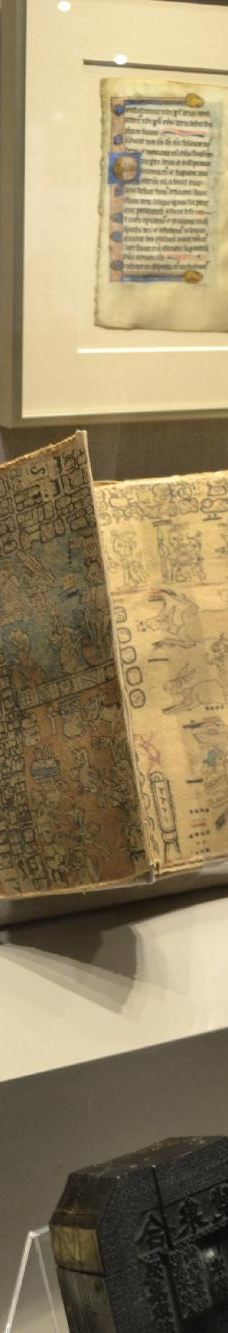 布法罗科学博物馆-布法罗