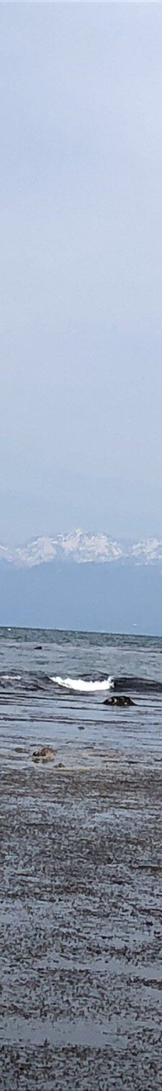 雨晴海岸-高冈市