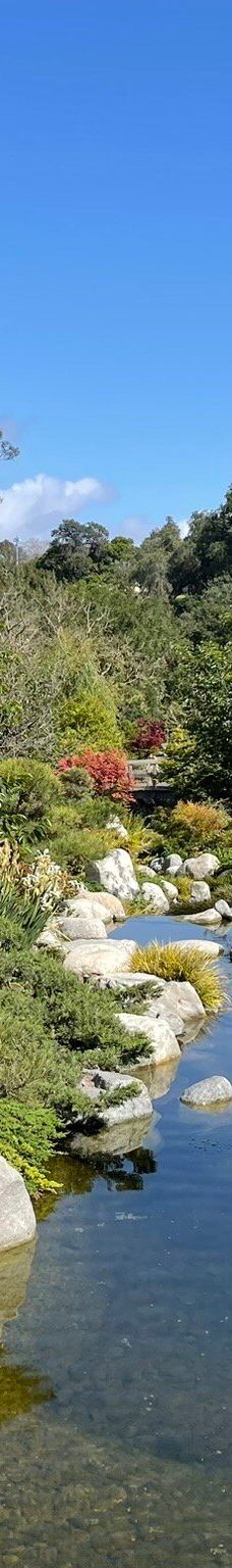Japanese Friendship Garden & Museum-圣地亚哥