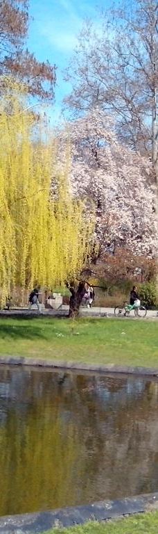 Danube Park-诺维萨德