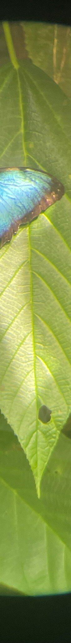 卡维塔国家公园-Talamanca