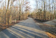 Robertsville State Park景点图片