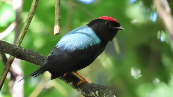 Sierra Nevada de Santa Marta