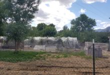 Clear Creek Vineyard & Winery景点图片