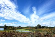 West Perth Wetlands景点图片