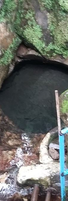 Arboretum Sumber Brantas-Bumiaji