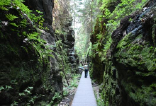 Schwedenl?cher景点图片