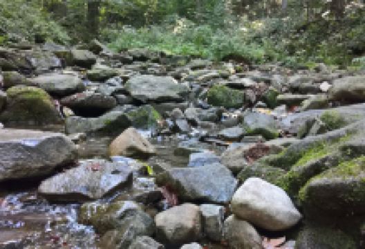 Bucaci Potok景点图片