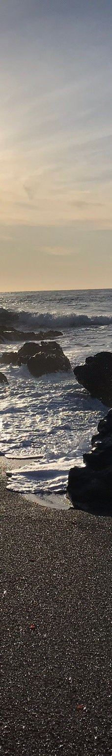 Shamel Park-坎布里亚