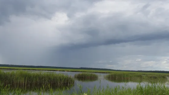 Kanieris Lake Bird Watching Tower