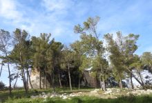 Castello di Torregalli景点图片